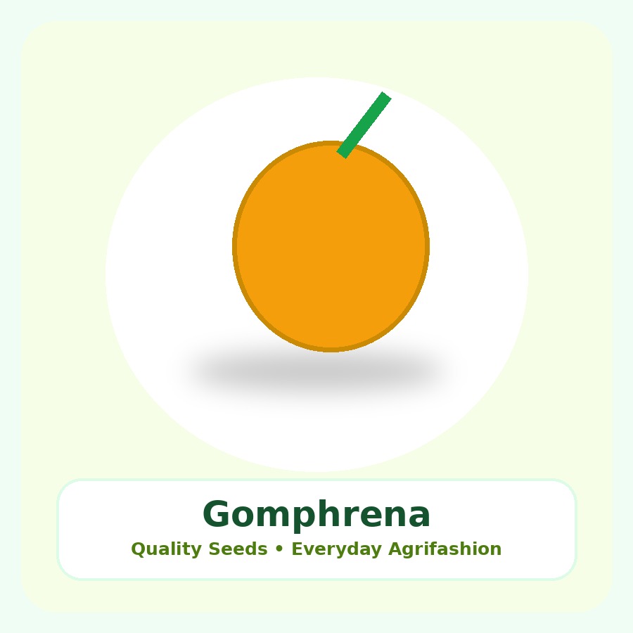 Gomphrena Seeds 50 Seeds
