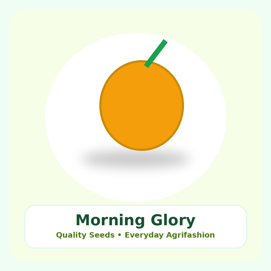 Morning Glory Seeds 250 Seeds