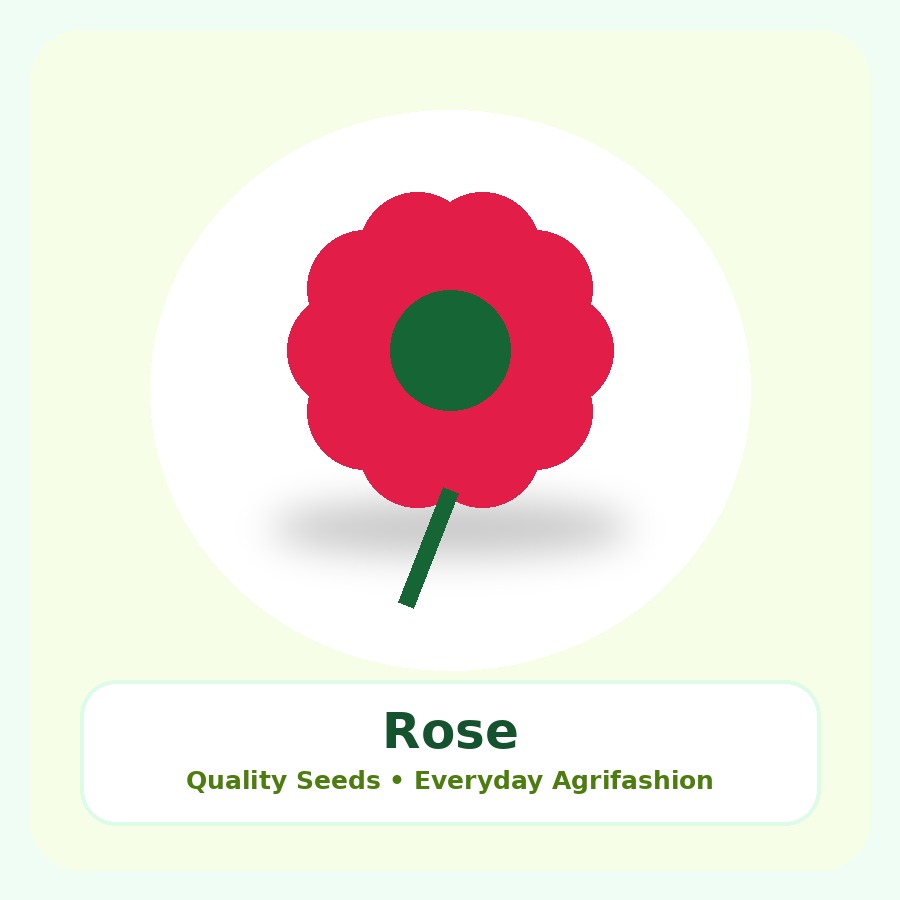 Rose Seeds 25 Seeds