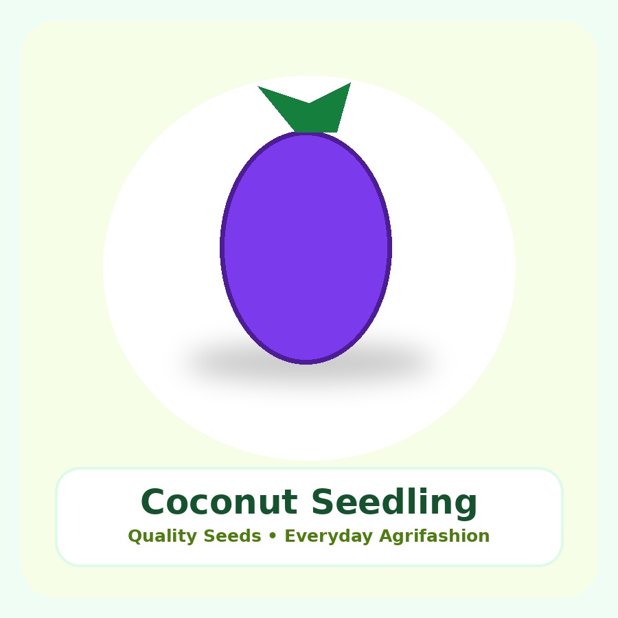 Coconut Seedling Seeds 250 Seeds
