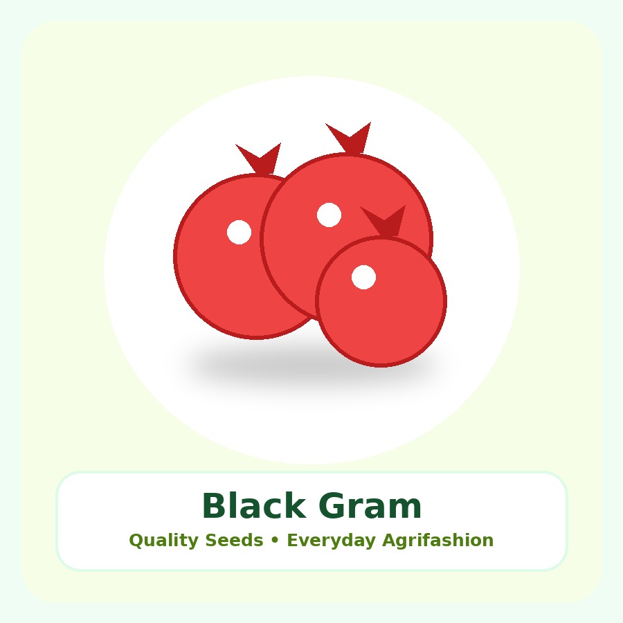Black Gram Seeds 10kg