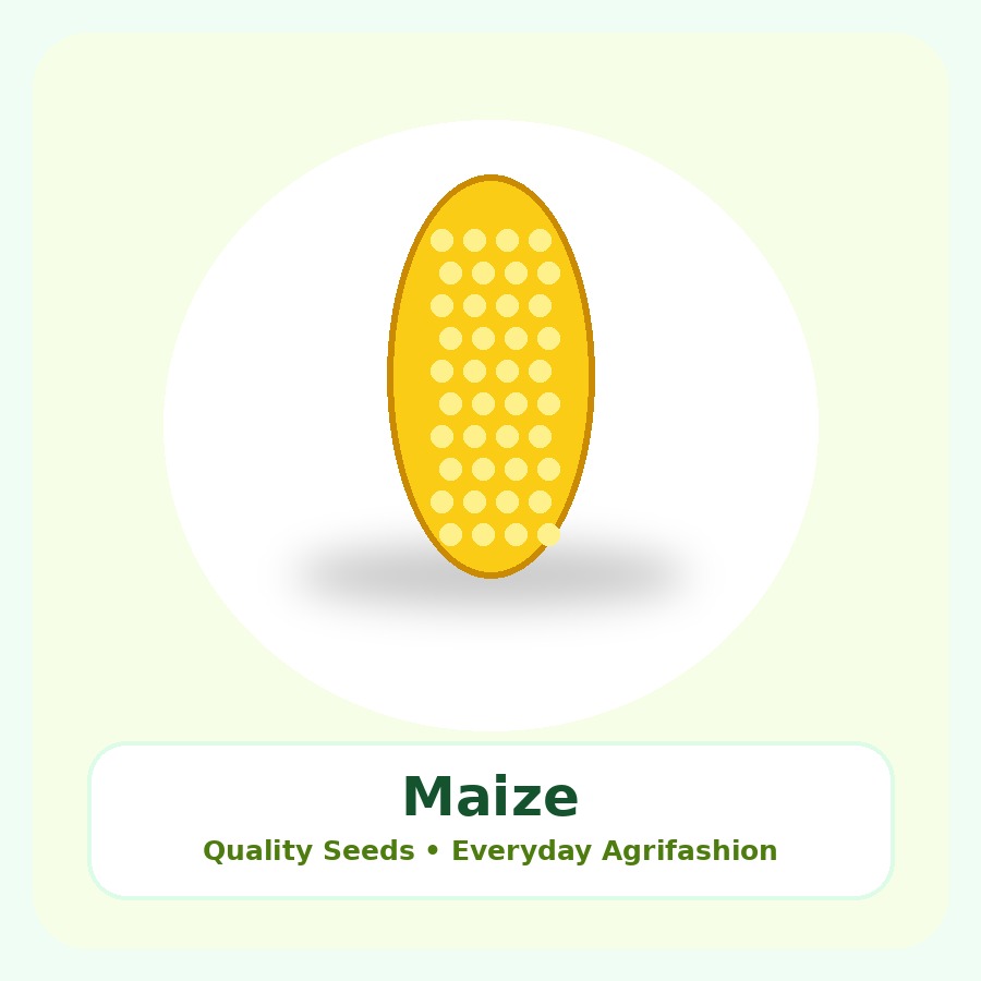 Maize Seeds 1kg