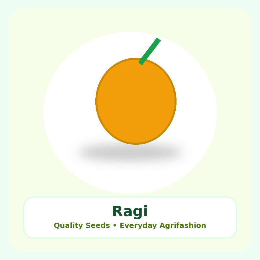 Ragi Seeds 25kg