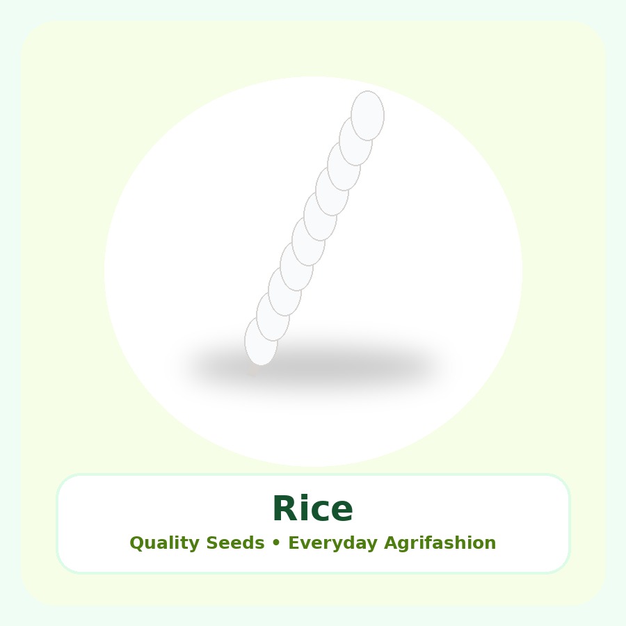 Rice Seeds 5kg