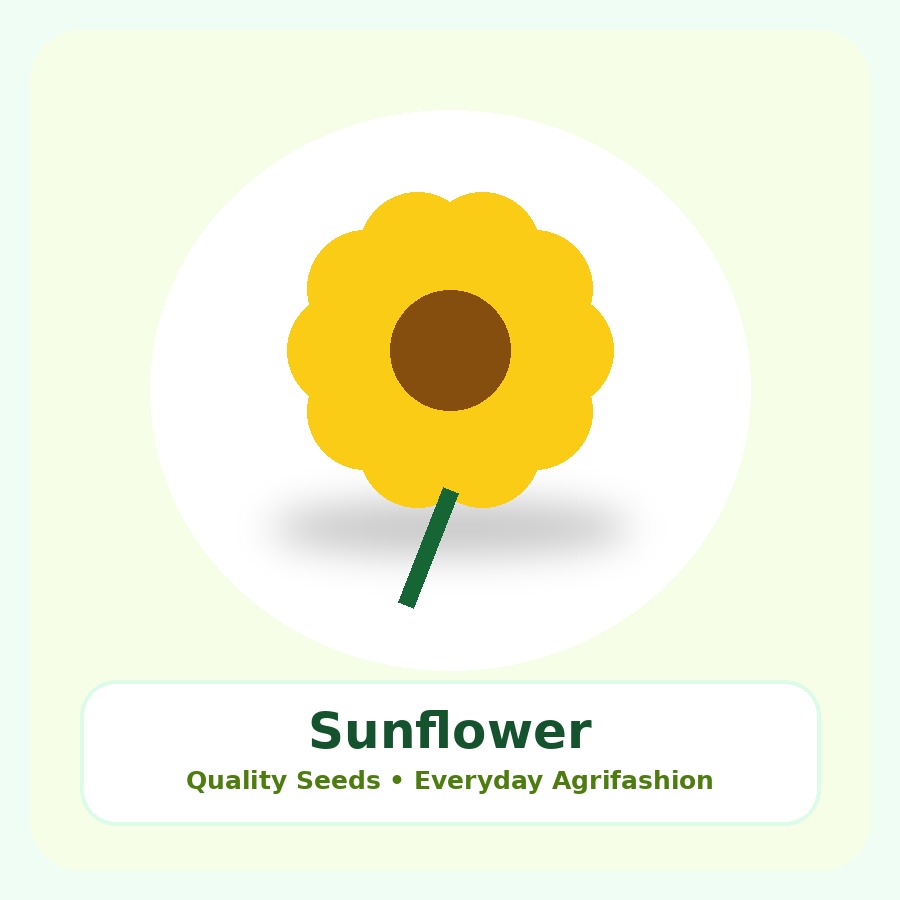 Sunflower Seeds 10kg