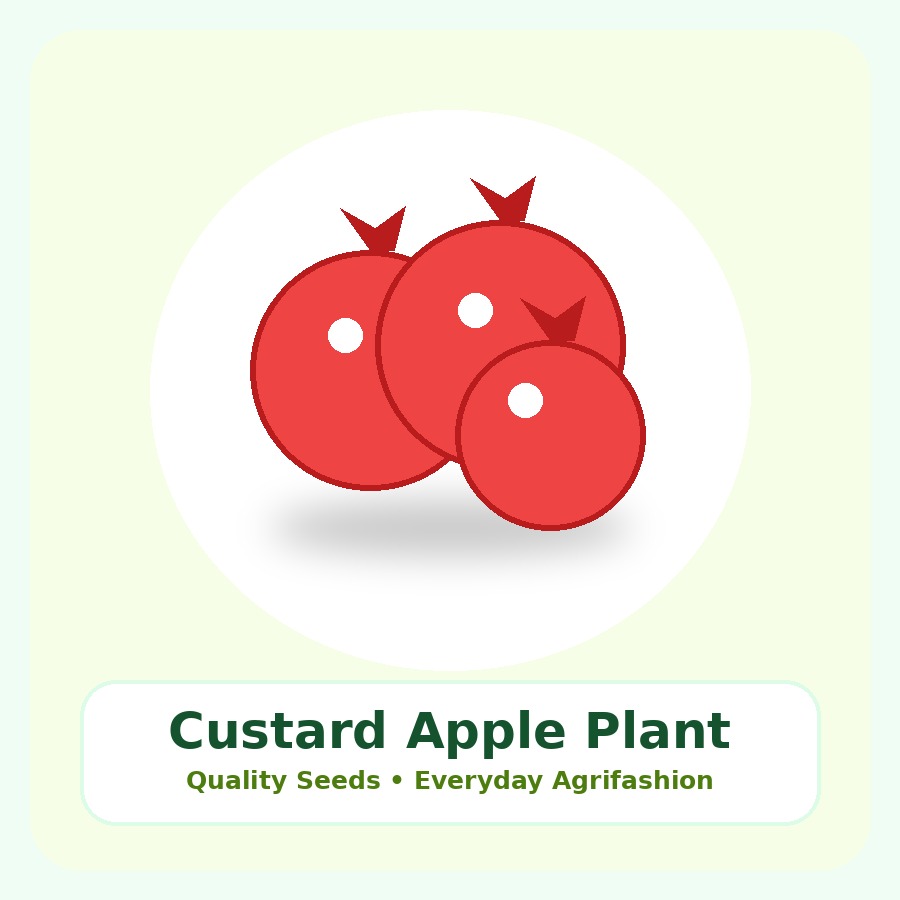 Custard Apple Plant Grafted Plant