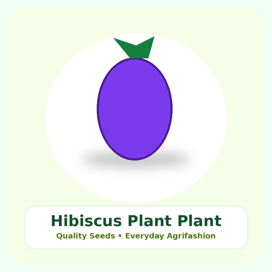 Hibiscus Plant Premium Plant