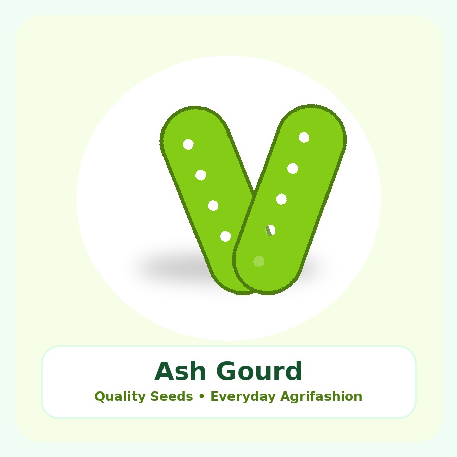 Ash Gourd Seeds 500g