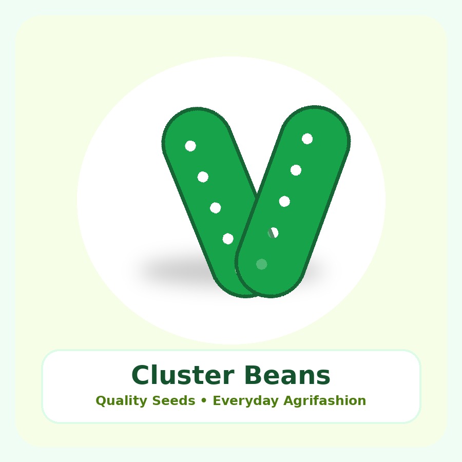 Cluster Beans Seeds 1kg
