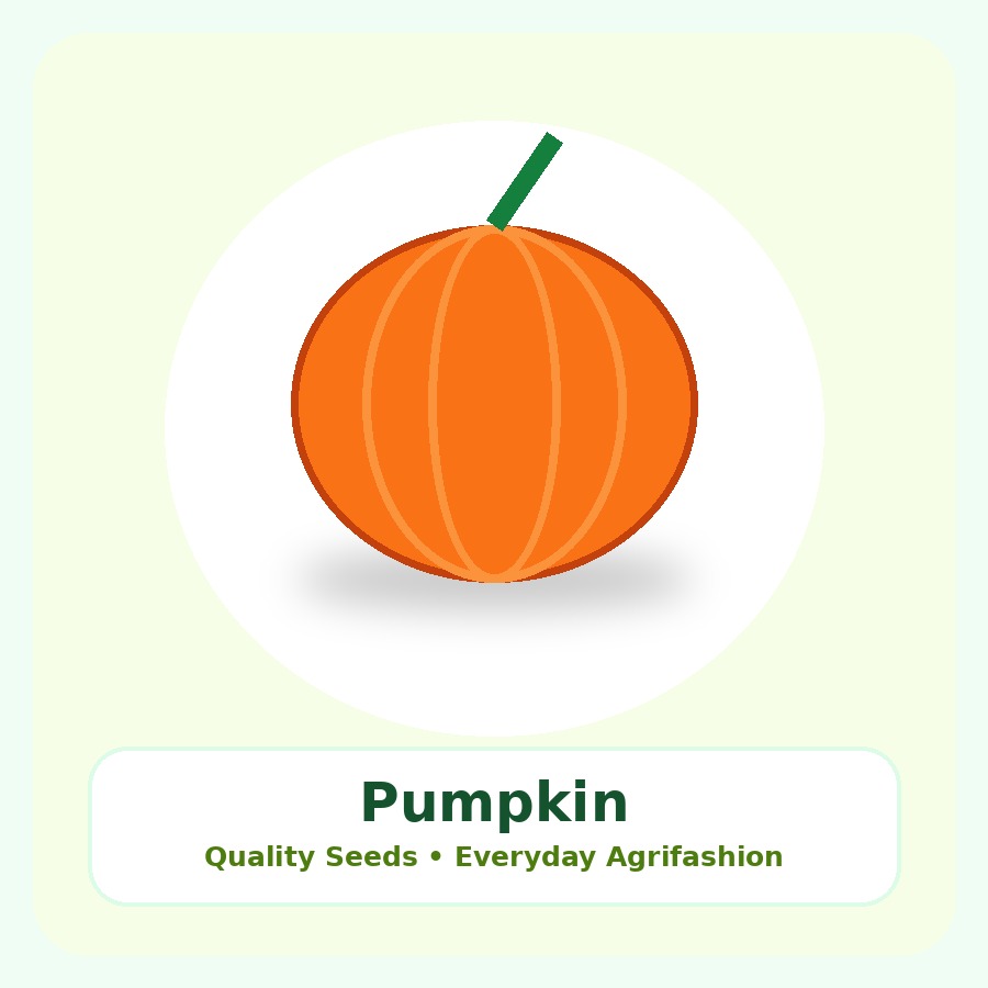 Pumpkin Seeds 50g