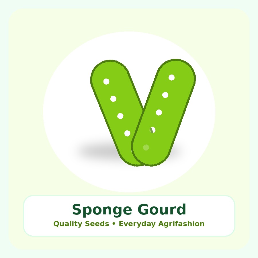 Sponge Gourd Seeds 100g