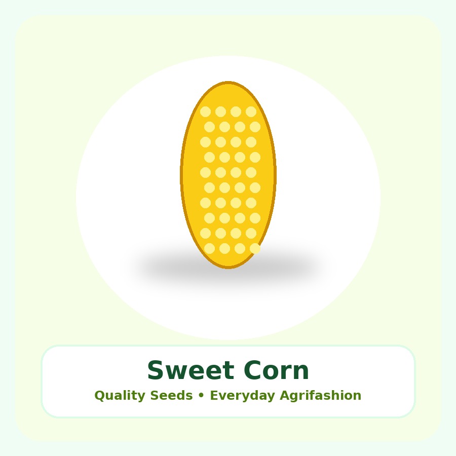 Sweet Corn Seeds 500g
