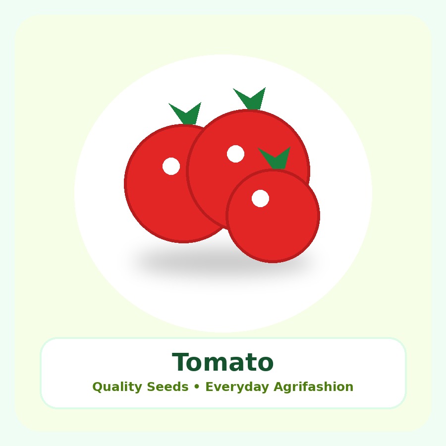 Tomato Seeds 500g
